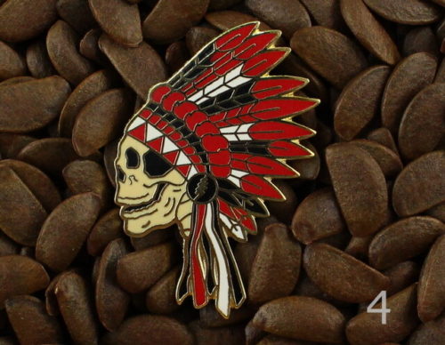 Grateful Dead Pins Native American Indian Headdress Skull Pin