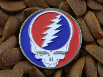 Grateful Dead Pins Steal Your Face Pin