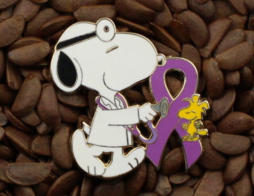 Purple Ribbon Pins Peanuts Doctor Pin Snoopy Woodstock