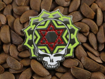 Grateful Dead Pins Star Of David Pin