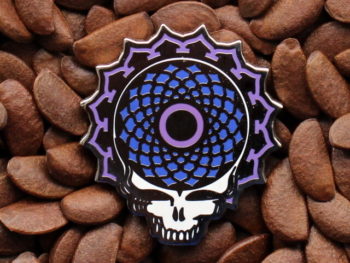 Grateful Dead Pins Torus Aerial View Pin