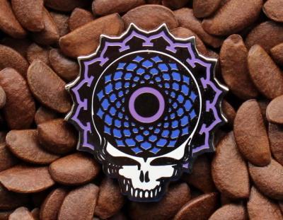 Grateful Dead Pins Torus Aerial View Pin