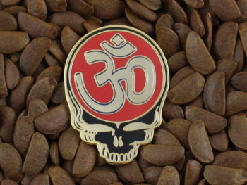 Grateful Dead Pins 50th Ann. Steal Your Face Pin